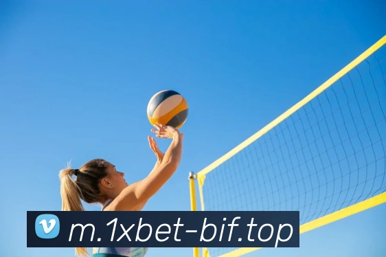 1xbet官网服务体系